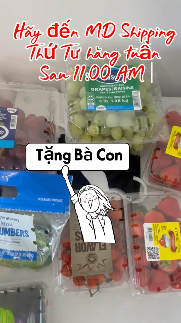 Rau củ quả tươi tặng bà con sau 11:00 AM